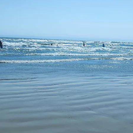 Teo Blue In Mamaia Nord Appartamento